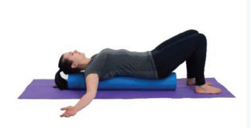Foam Roller Exercises